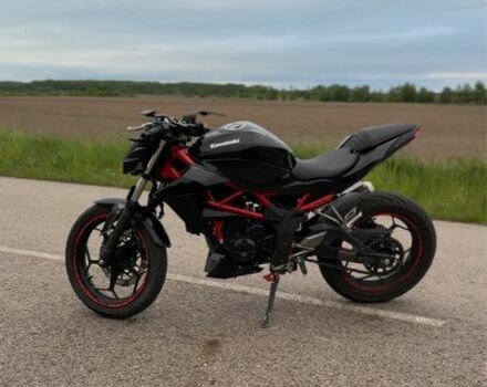 Кавасакі Інша, об'ємом двигуна 0.25 л та пробігом 0 тис. км за 2700 $, фото 4 на Automoto.ua