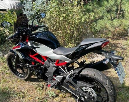 Кавасакі Інша, об'ємом двигуна 0.25 л та пробігом 0 тис. км за 3500 $, фото 7 на Automoto.ua