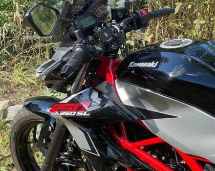 Кавасакі Інша, об'ємом двигуна 0.25 л та пробігом 0 тис. км за 3500 $, фото 9 на Automoto.ua