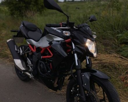 Кавасакі Інша, об'ємом двигуна 0.25 л та пробігом 0 тис. км за 3850 $, фото 6 на Automoto.ua