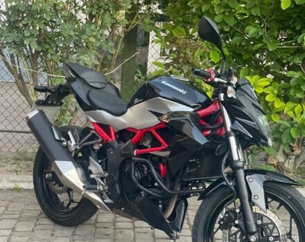 Кавасакі Інша, об'ємом двигуна 0.25 л та пробігом 0 тис. км за 3850 $, фото 1 на Automoto.ua