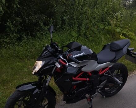 Кавасакі Інша, об'ємом двигуна 0.25 л та пробігом 0 тис. км за 3850 $, фото 5 на Automoto.ua