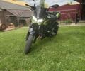 Кавасакі Інша, об'ємом двигуна 0.4 л та пробігом 0 тис. км за 4850 $, фото 7 на Automoto.ua