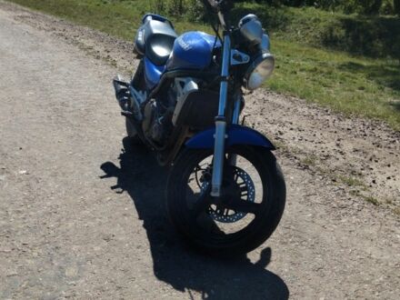Кавасакі Інша 1998 у Житомирі на Automoto.ua Кавасакі Інша, об'ємом двигуна 0.5 л та пробігом 0 тис. км за 1400 $, фото 1 на Automoto.ua