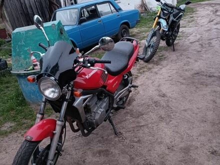 Кавасакі Інша 1998 у Житомирі на Automoto.ua Кавасакі Інша, об'ємом двигуна 0.5 л та пробігом 0 тис. км за 2700 $, фото 1 на Automoto.ua