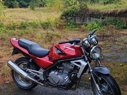 Кавасакі Інша, об'ємом двигуна 0.5 л та пробігом 0 тис. км за 1800 $, фото 1 на Automoto.ua