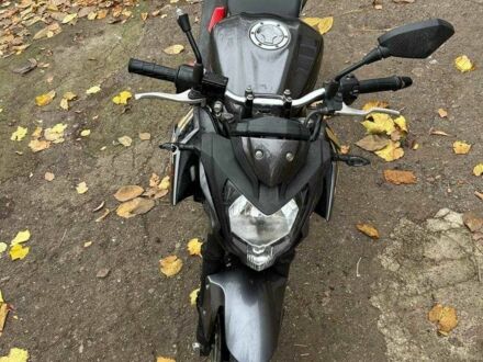 Кавасакі Інша, об'ємом двигуна 0.25 л та пробігом 0 тис. км за 2500 $, фото 1 на Automoto.ua