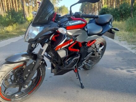 Кавасакі Інша, об'ємом двигуна 0.25 л та пробігом 0 тис. км за 2600 $, фото 1 на Automoto.ua