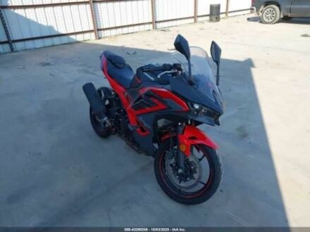 Кавасакі Інша, об'ємом двигуна 0.5 л та пробігом 0 тис. км за 1500 $, фото 1 на Automoto.ua