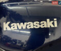 Синій Кавасакі ER-5, об'ємом двигуна 0 л та пробігом 42 тис. км за 2300 $, фото 14 на Automoto.ua