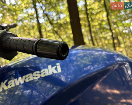 Синий Кавасаки ER 500A, объемом двигателя 0.5 л и пробегом 10 тыс. км за 3199 $, фото 7 на Automoto.ua