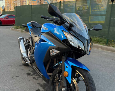 Синий Кавасаки EX 300, объемом двигателя 0.3 л и пробегом 16 тыс. км за 3300 $, фото 11 на Automoto.ua