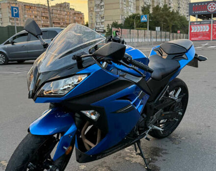 Синий Кавасаки EX 300, объемом двигателя 0.3 л и пробегом 16 тыс. км за 3300 $, фото 2 на Automoto.ua