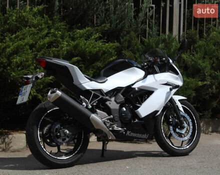 Білий Кавасакі Ninja 250, об'ємом двигуна 0.25 л та пробігом 4 тис. км за 3300 $, фото 11 на Automoto.ua