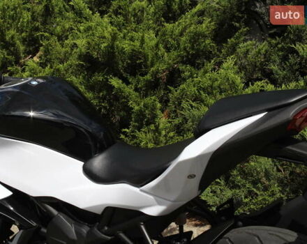 Белый Кавасаки Ninja 250, объемом двигателя 0.25 л и пробегом 4 тыс. км за 3700 $, фото 8 на Automoto.ua