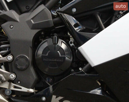 Білий Кавасакі Ninja 250, об'ємом двигуна 0.25 л та пробігом 4 тис. км за 3300 $, фото 9 на Automoto.ua