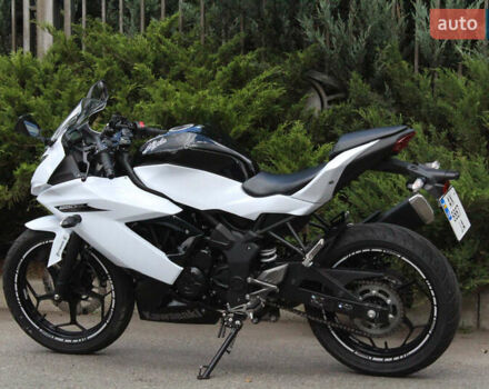 Білий Кавасакі Ninja 250, об'ємом двигуна 0.25 л та пробігом 4 тис. км за 3300 $, фото 17 на Automoto.ua
