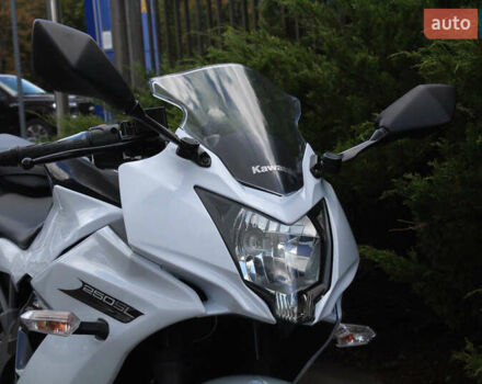 Білий Кавасакі Ninja 250, об'ємом двигуна 0.25 л та пробігом 4 тис. км за 3300 $, фото 21 на Automoto.ua