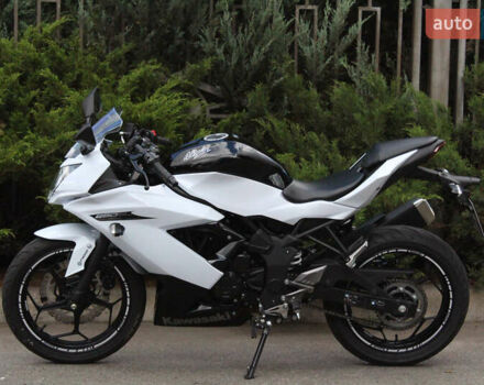 Білий Кавасакі Ninja 250, об'ємом двигуна 0.25 л та пробігом 4 тис. км за 3300 $, фото 19 на Automoto.ua