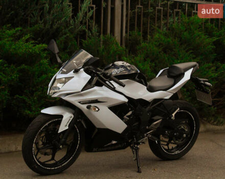 Білий Кавасакі Ninja 250, об'ємом двигуна 0.25 л та пробігом 4 тис. км за 3300 $, фото 3 на Automoto.ua
