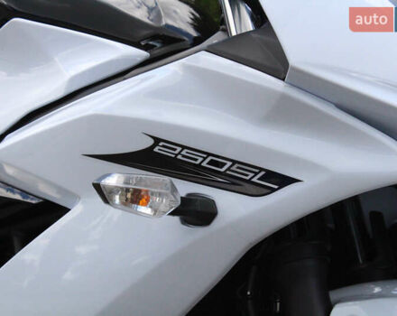 Білий Кавасакі Ninja 250, об'ємом двигуна 0.25 л та пробігом 4 тис. км за 3300 $, фото 22 на Automoto.ua
