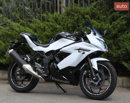 Білий Кавасакі Ninja 250, об'ємом двигуна 0.25 л та пробігом 4 тис. км за 3300 $, фото 12 на Automoto.ua