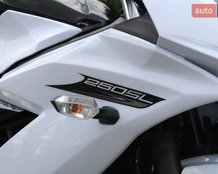 Белый Кавасаки Ninja 250, объемом двигателя 0.25 л и пробегом 4 тыс. км за 3700 $, фото 7 на Automoto.ua