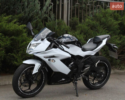 Білий Кавасакі Ninja 250, об'ємом двигуна 0.25 л та пробігом 4 тис. км за 3300 $, фото 18 на Automoto.ua