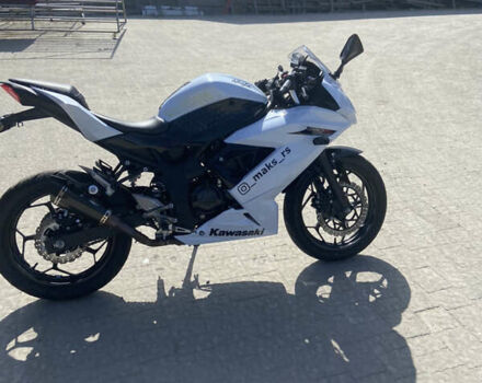 Білий Кавасакі Ninja 250, об'ємом двигуна 0.25 л та пробігом 16 тис. км за 3700 $, фото 8 на Automoto.ua