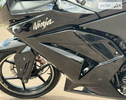 Кавасаки Ninja 250, объемом двигателя 0 л и пробегом 33 тыс. км за 2900 $, фото 9 на Automoto.ua