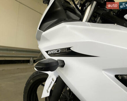 Кавасаки Ninja 250, объемом двигателя 0.25 л и пробегом 18 тыс. км за 3250 $, фото 8 на Automoto.ua