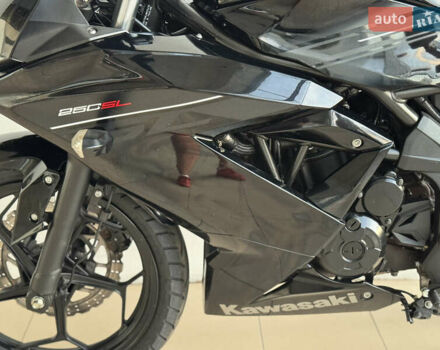 Кавасаки Ninja 250, объемом двигателя 0.25 л и пробегом 16 тыс. км за 3300 $, фото 19 на Automoto.ua