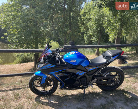 Синий Кавасаки Ninja 250, объемом двигателя 0.25 л и пробегом 13 тыс. км за 3400 $, фото 2 на Automoto.ua