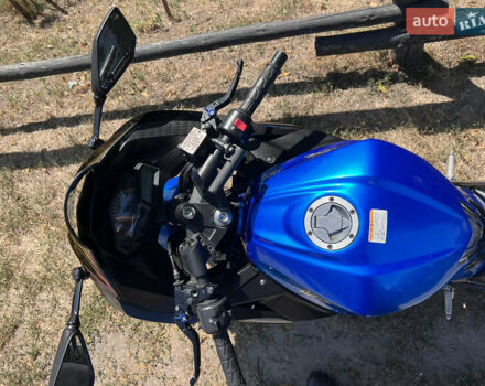 Синий Кавасаки Ninja 250, объемом двигателя 0.25 л и пробегом 13 тыс. км за 3400 $, фото 11 на Automoto.ua