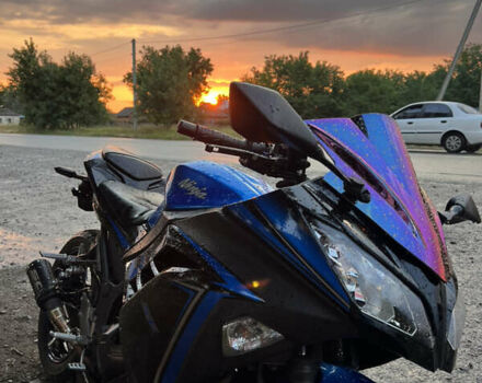 Синий Кавасаки Ninja 250, объемом двигателя 0.25 л и пробегом 13 тыс. км за 3400 $, фото 13 на Automoto.ua