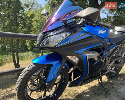 Синий Кавасаки Ninja 250, объемом двигателя 0.25 л и пробегом 13 тыс. км за 3400 $, фото 8 на Automoto.ua