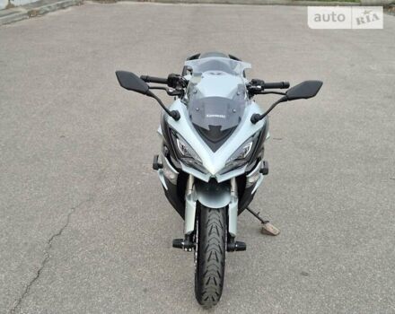 Сірий Кавасакі Z 1000SX, об'ємом двигуна 1.04 л та пробігом 7 тис. км за 14500 $, фото 9 на Automoto.ua