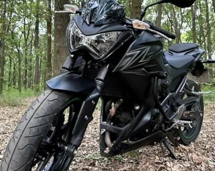 Черный Кавасаки Z 300, объемом двигателя 0 л и пробегом 12 тыс. км за 4500 $, фото 3 на Automoto.ua
