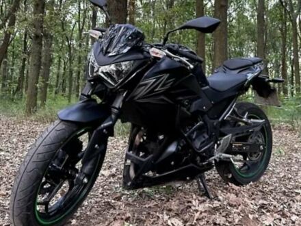 Кавасаки Z 300 2016 в Одессе на Automoto.ua Черный Кавасаки Z 300, объемом двигателя 0 л и пробегом 12 тыс. км за 4500 $, фото 1 на Automoto.ua