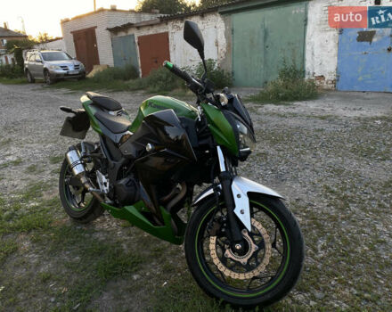 Зелений Кавасакі Z 300, об'ємом двигуна 0.3 л та пробігом 26 тис. км за 3500 $, фото 1 на Automoto.ua