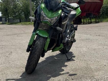 Кавасакі Z 800 2013 у Лубнах на Automoto.ua Зелений Кавасакі Z 800, об'ємом двигуна 0 л та пробігом 42 тис. км за 7300 $, фото 1 на Automoto.ua