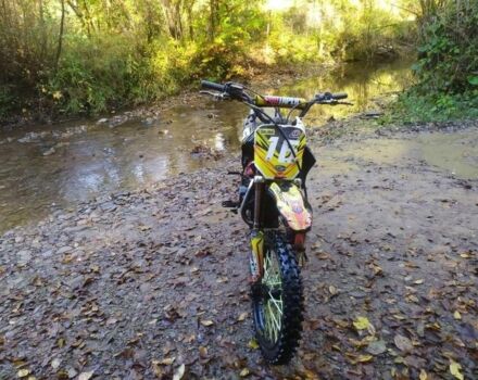 Кайо Інша, об'ємом двигуна 0.13 л та пробігом 0 тис. км за 536 $, фото 1 на Automoto.ua