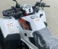 Кайо Другая, объемом двигателя 0.3 л и пробегом 0 тыс. км за 3900 $, фото 9 на Automoto.ua