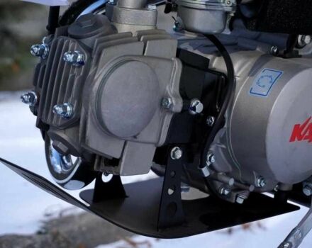 Кайо Другая, объемом двигателя 0.11 л и пробегом 0 тыс. км за 800 $, фото 10 на Automoto.ua