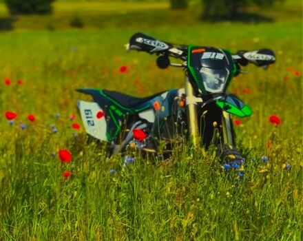 Кайо Другая, объемом двигателя 0.3 л и пробегом 0 тыс. км за 2565 $, фото 12 на Automoto.ua