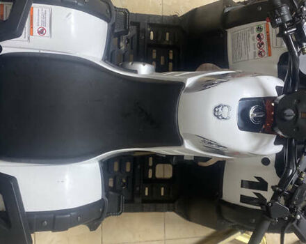 Белый Кайо AU, объемом двигателя 0 л и пробегом 1 тыс. км за 2090 $, фото 8 на Automoto.ua