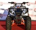купить новое авто Кайо AU 2023 года от официального дилера Антон АртMото Полтава Кайо фото