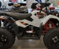 купить новое авто Кайо AU 300 2023 года от официального дилера Антон АртMото Полтава Кайо фото