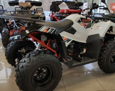 купить новое авто Кайо AU 300 2023 года от официального дилера Антон АртMото Полтава Кайо фото