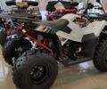 купить новое авто Кайо AU 300 2023 года от официального дилера Антон АртMото Полтава Кайо фото